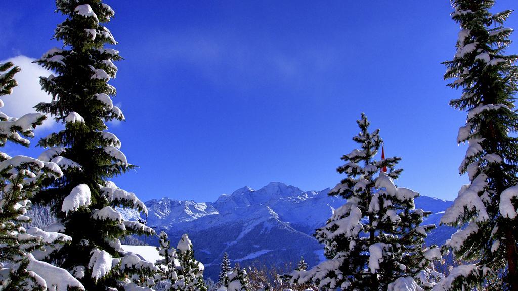 Hotel Montpelier Verbier Kültér fotó